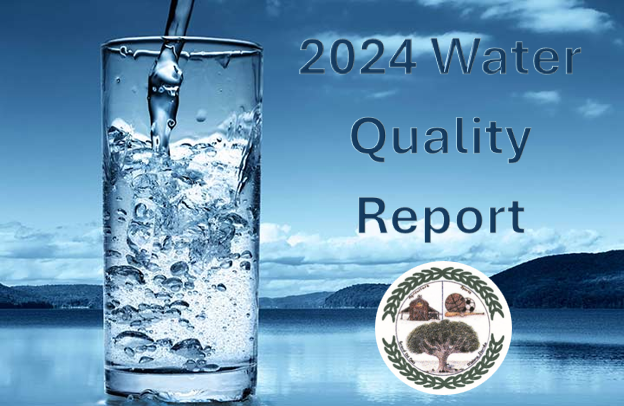 Screenshot 2025-06-05 141756